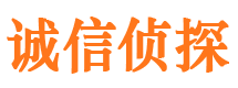 民勤市调查公司